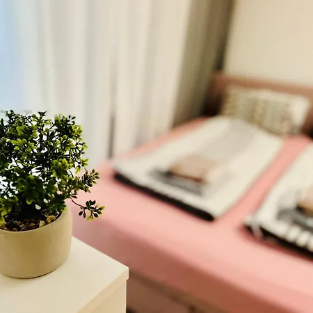 Luxe Living: Opulent Elegance Unleashed