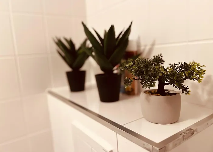 Apartment Luxe Living: Opulent Elegance Unleashed